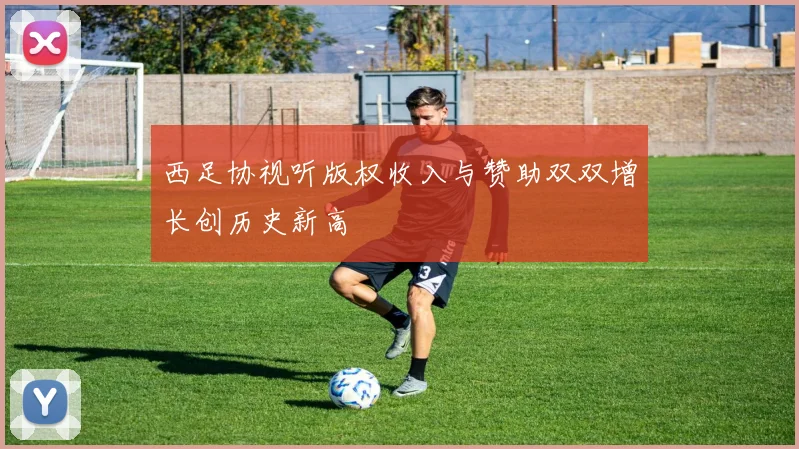 西足协视听版权收入与赞助双双增长创历史新高