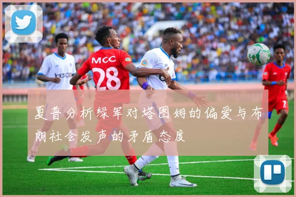 夏普分析绿军对塔图姆的偏爱与布朗社会发声的矛盾态度